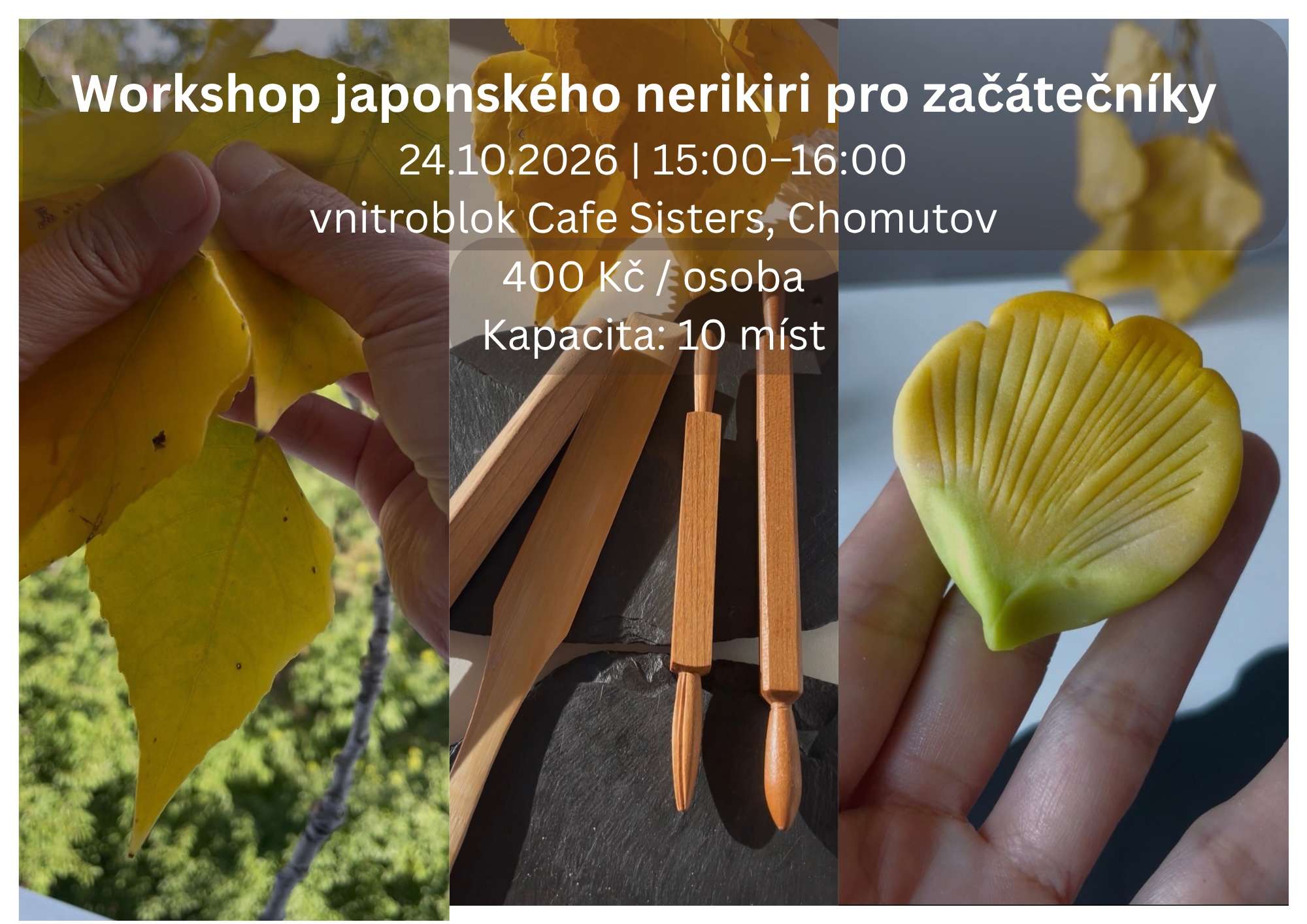 Workshop japonského nerikiri v Chomutově – podzimní nerikiri, nástroje a příroda Krušných hor